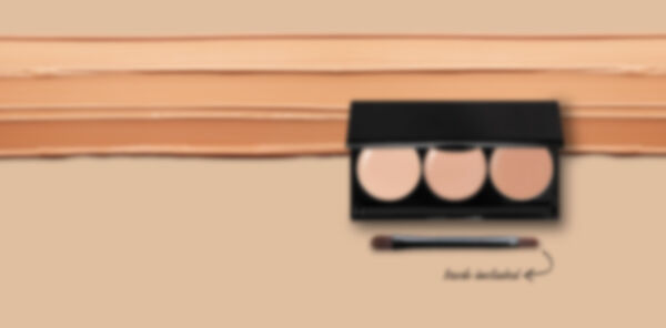 Concealer Trio Palette