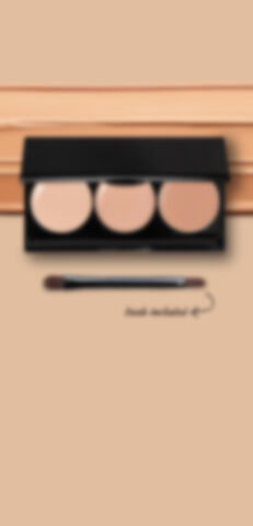 Concealer Trio Palette