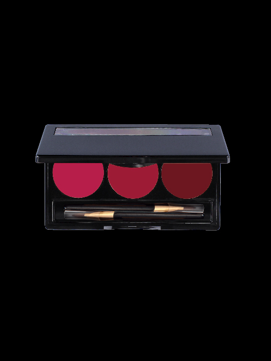 3 WELL EMPTY LIPSTICK PALETTE WITH LIP BRUSH - yep3l