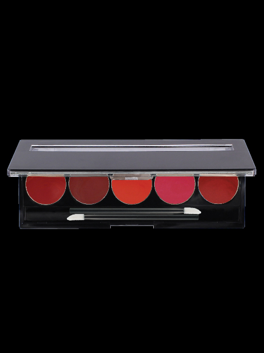 5 WELL EMPTY LIPSTICK PALETTE WITH LIP BRUSHES - yep5l