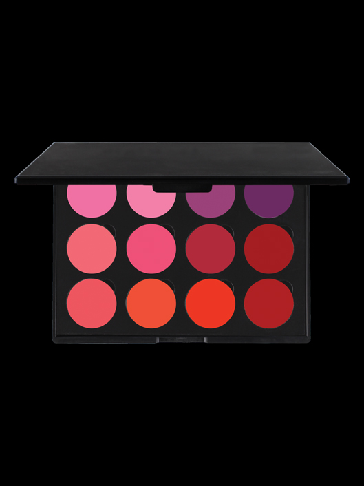 12 WELL EMPTY PALETTE - LIPSTICK - hyep12L